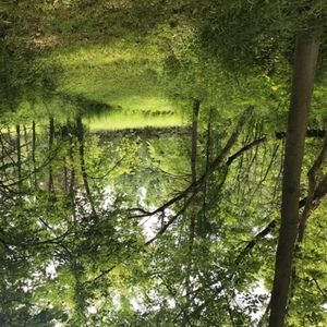 Meet your Posher, Piper